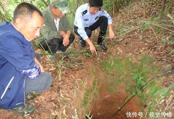 农民上山采药发现坑洞，看到一个生物，随后连忙通知有关部门