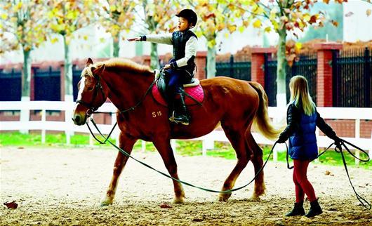 图文:近百名孩子校园学马术
