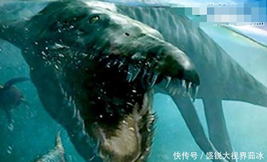 水怪真实视频完整版 t01a565ac8d45c6077b.jpg