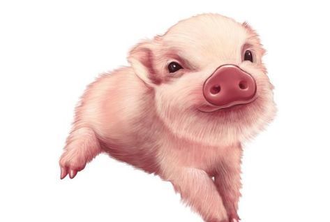 太子彩票:2018年买彩票能中奖,事业兴旺,财运大