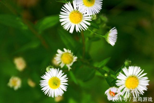 做人要懂得:人穷休入众,位卑莫劝人(哲理美文)