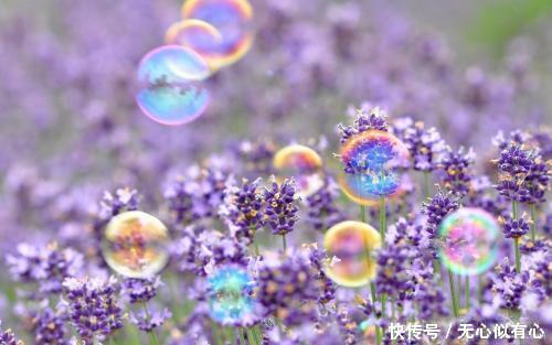 6句鼓舞人心的句子,句句暖心,值得一看