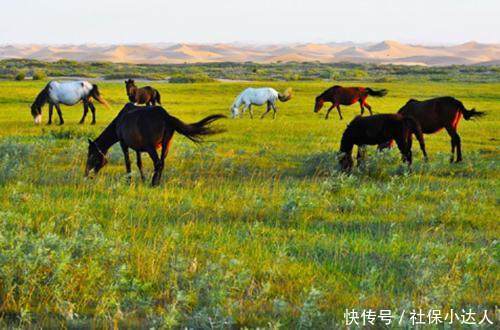 60岁老人医疗保险