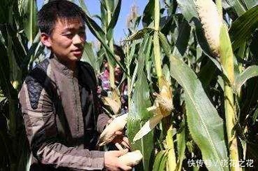 农村走出的明星,王宝强马天宇的年收入,都没有