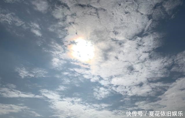 查看15天气预报天气