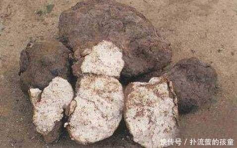 t01abd0829991850bc4.jpg