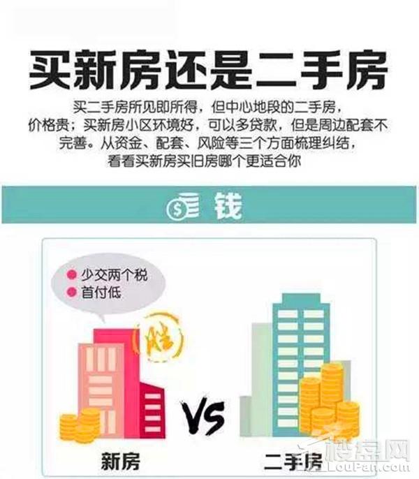 316套住宅新入市!买它比二手房划算