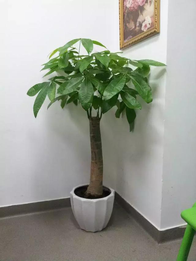 t01ad9af2601a394e3d.jpg