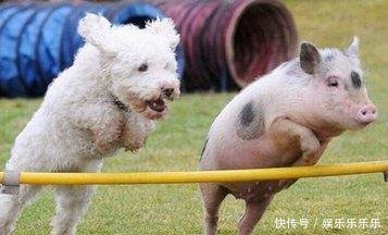 离婚后, 男人最怕失去什么? 守寡式的婚姻真的