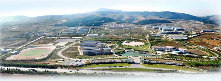 山东财经大学圣井校区图片