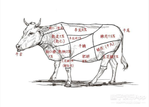 知乎上的高赞热地,为了吃我愿意跑遍全中国