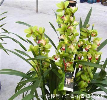 t01b00761d1fa89924a.jpg