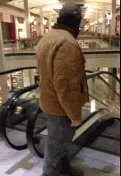 搞笑gif图: 这绝对是一次长记性的教训 - 360娱乐,你