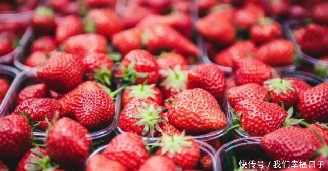 啥时候种草莓冬天能吃 t01b4548d4f8d9f3794.jpg
