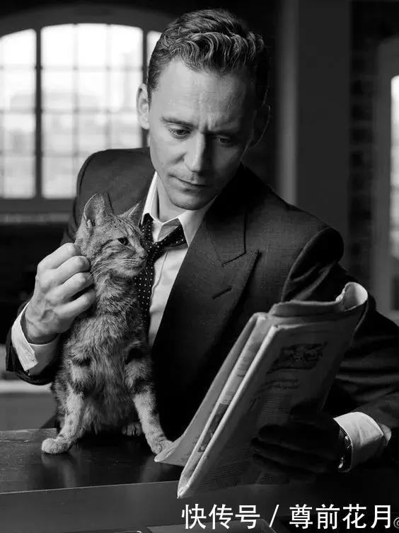 钢铁侠和美队都是资深铲屎官 雷神表示不服