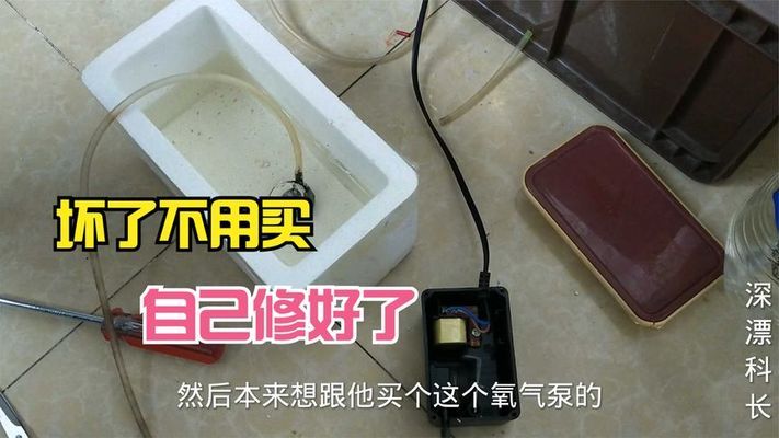 魚缸放什么木頭凈化水質(zhì)快（魚缸放什么木頭凈化水質(zhì)快些）