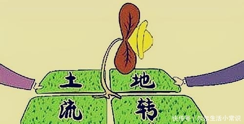 土地承包合同怎么写