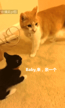 当女朋友来大姨妈的那几天,可以说是很形象了