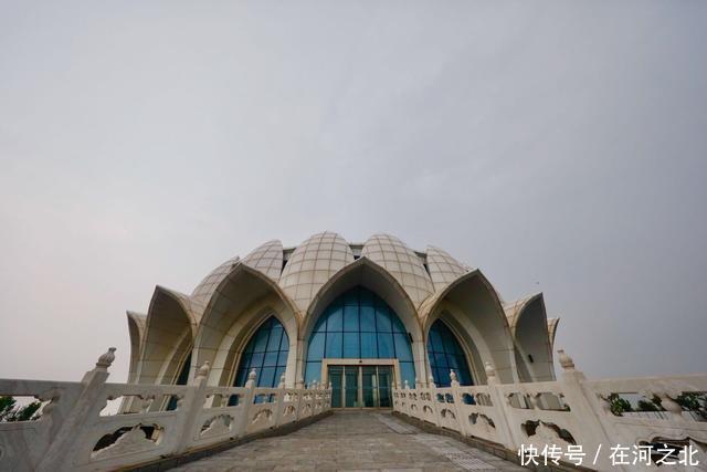 菩提岛 菩提树下 海风拂面 任天地在胸中激荡