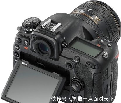 尼康D850评论:可通过的专业DX相机