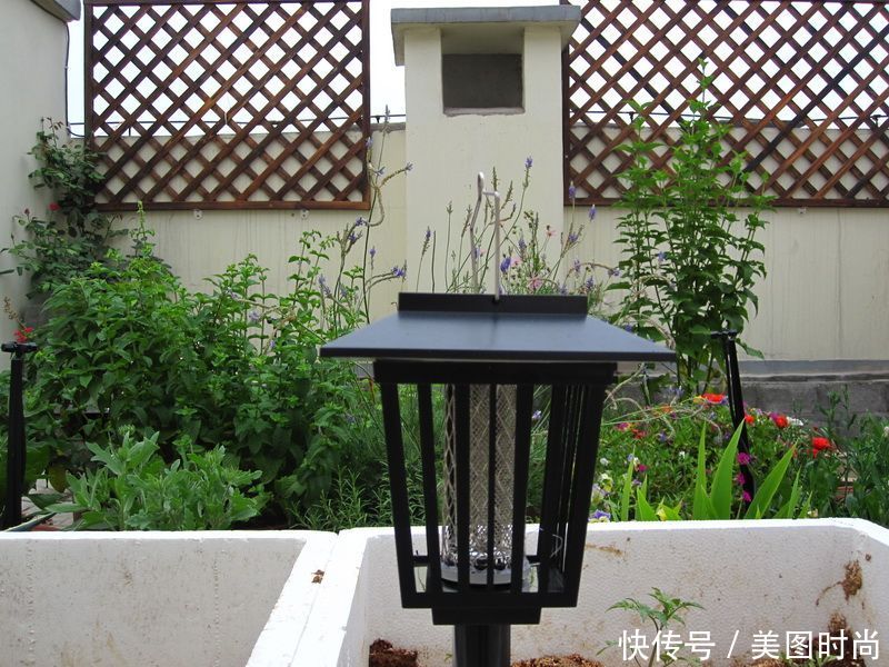 DIY打造40㎡“露台花园”,这个房子1千1㎡,你信吗?