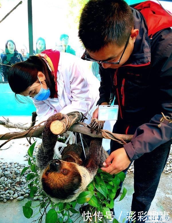 体检需要身份证吗