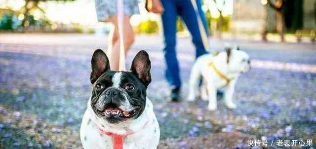 搞笑GIF妹子,要是被你男朋友看到这一幕,估计