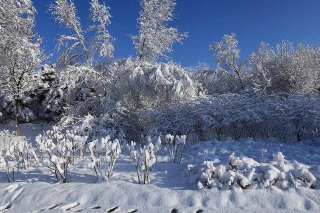 重庆冬季旅游者无须远行,周边冰雪媲美北国,一