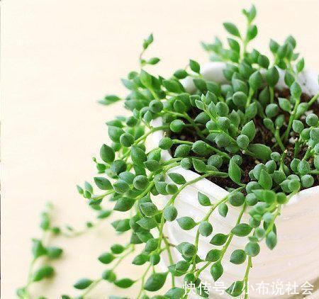 怎么晒干黄豆 t01bd777acaadd7fb30.jpg