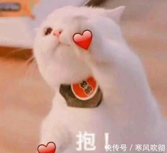 最近超火的直男表情:我信你个鬼,你个糟老吃饭图片搞笑的了qq图片