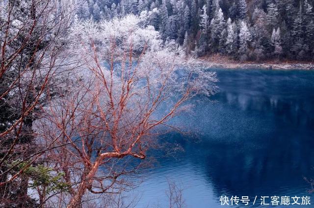 走过乌镇，路过南浔，最后停留在这里