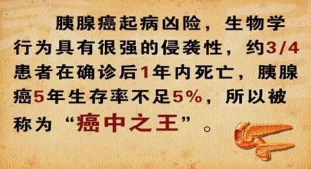 t01c08067b0ca6333d0.jpg?size=450x245