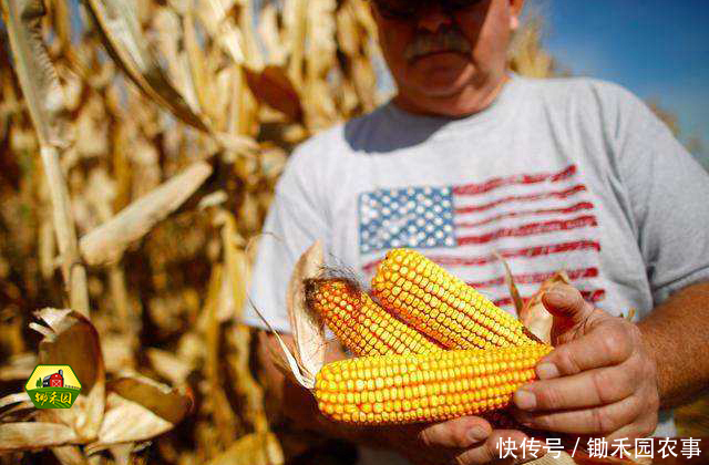 中美贸易摩擦,农产品行业开始震动,影响最大的是这几类!