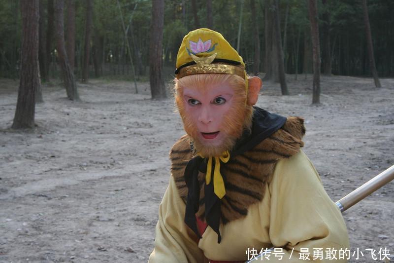 《西游记》仅有的三集丑猴王, 真正的毛脸雷