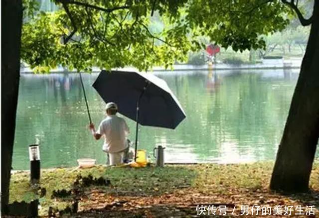 夏季钓鱼必备饵，通杀鲫鲤鱼，现在知道还不晚！