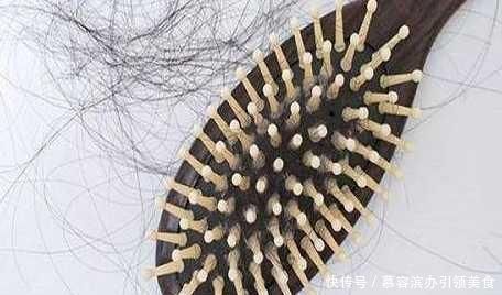 不想头发掉的太厉害 到底该如何是好
