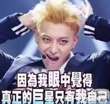 谈判官里黄子韬撩杨幂太逗了,确定不是哈士奇