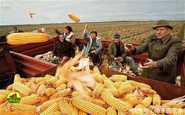 中美贸易摩擦，农产品行业开始震动，影响最大的是这几类！