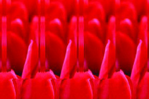 猜猜三维立体画,猜猜三维立体画小游戏,360小