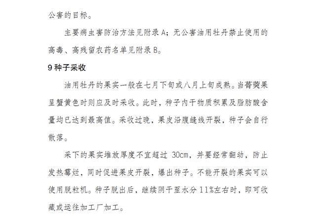 按照这9个条件去建设，才能申报油用牡丹示范项目补贴资金！