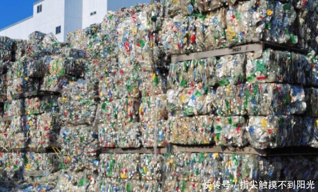 在农村,建一个这样的工厂,回本快还能赚钱