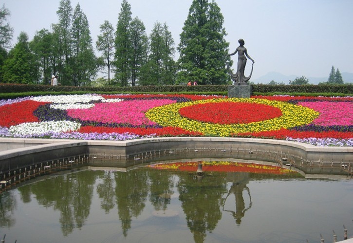杭州花圃