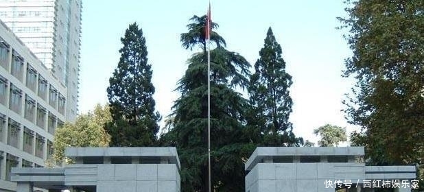 t01cb1310f5e86eb8cb.jpg?size=618x280