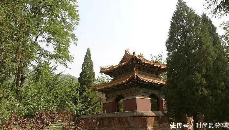 就说的意思是什么意思是什么