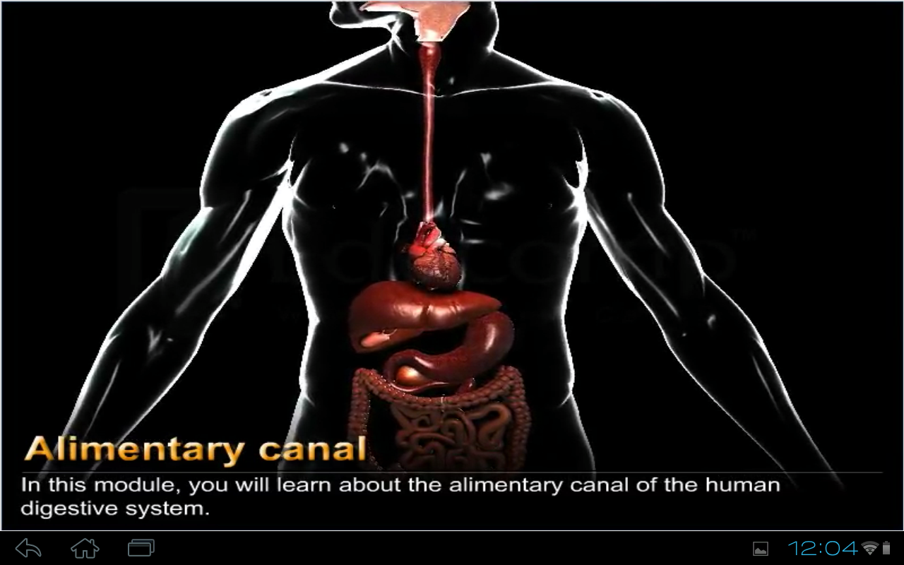 Human Digestive System截图4