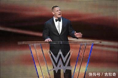 点击图片查看详情 2018年收入最高的10位WWE明星,最后一位竟然是他