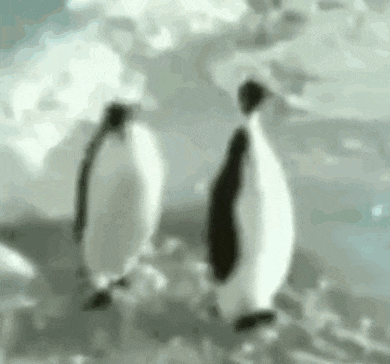 看走路姿势没有睡着,那就帮你一把下去清醒清醒,不要感谢我,我的名字