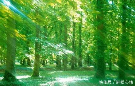 做 人 , 少 玩 心 眼!