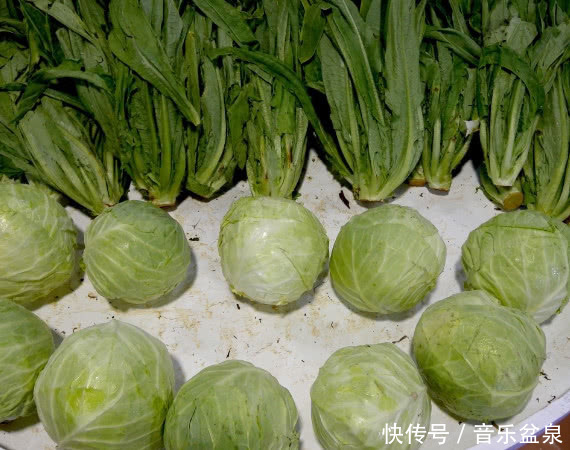 央视曝光：“癌细胞”遍布全身的4种食物，最后一种大家都在吃！