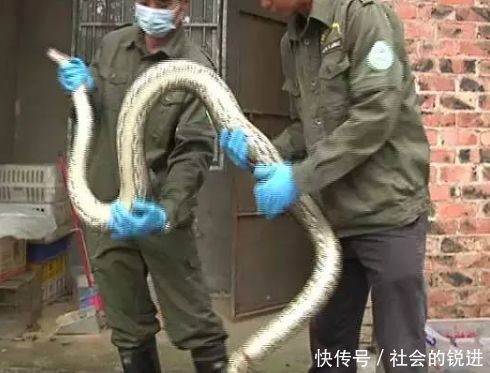 美女刚躺下睡觉,发现房内有一只眼睛,坐起来一